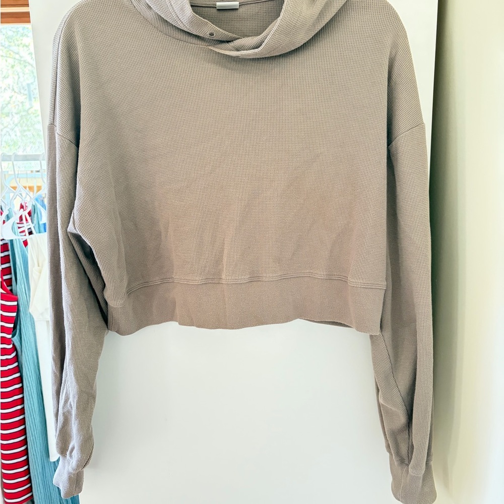 Aritzia Sunday best crop hoodie